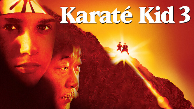 the karate kid netflix series